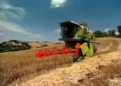 COSECHA CEREAL (9)  CAMPESINOS